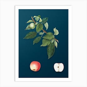 Vintage Apple Botanical Art on Teal Blue Art Print