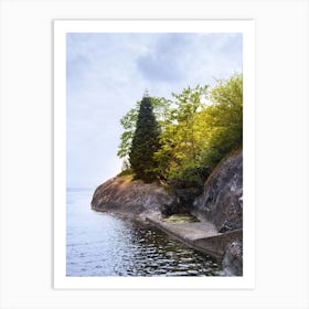 Rocky Shore With Trees Art Print