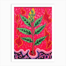 Pink And Red Plant Illustration Croton Codiaeum 1 Art Print