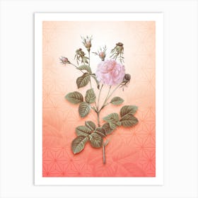 Pink Agatha Rose Vintage Botanical in Peach Fuzz Asanoha Star Pattern n.0252 Art Print