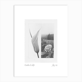 Calla Lilly Botanical Collage 3 Art Print