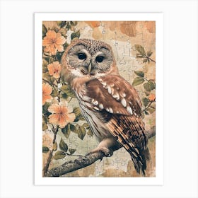 Northern Saw Whet Owl Painting 2 Art Print