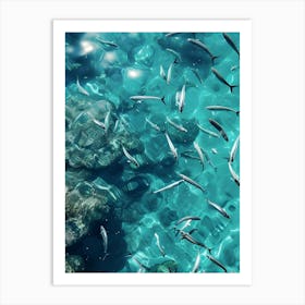 Fishes In The Sea Art Print