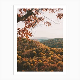 Autumn Forest Scenery Art Print