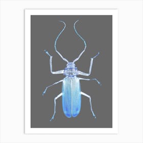 Insect Evolution Art Print