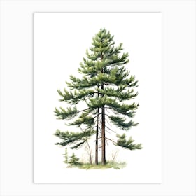 Pine Tree Drawing Art Print