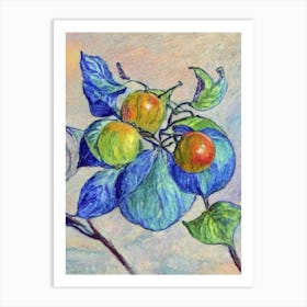 Physalis 1 Vintage Sketch Fruit Art Print