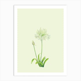 Dandelion, Plant, Boho, Botanical, Art, Nature, Home Decor, Living Room, Kitchen, Bedroom, Wall Print Art Print