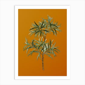 Vintage Bitter Willow Botanical on Sunset Orange n.0239 Art Print