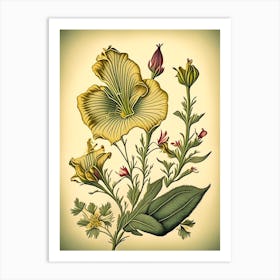 Evening Primrose Wildflower Vintage Botanical 1 Art Print