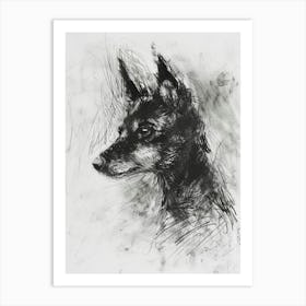 Lundehund Dog Charcoal Line Art Print