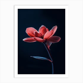 Red Flower Art Print