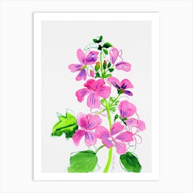 Pink mallow watercolor artwork Art Print