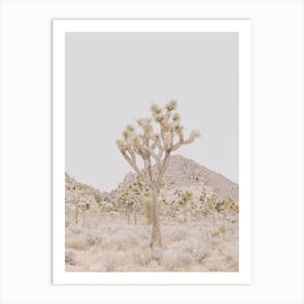 Joshua Tree Desert Art Print