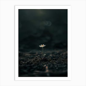 Single Flower In The Dark 110 Art Print