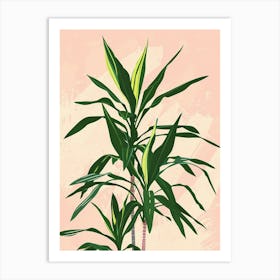 Dracaena Plant Minimalist Illustration 7 Art Print