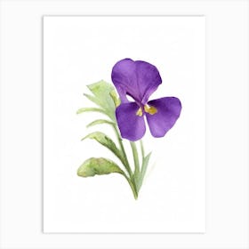 Marsh Violet Wildflower Watercolour Art Print