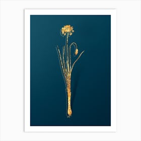 Vintage Autumn Onion Botanical in Gold on Teal Blue n.0238 Art Print