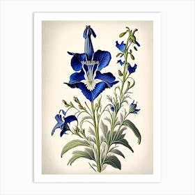 Bellflower 3 Floral Botanical Vintage Poster Flower Art Print