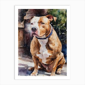 American Pit Bull Terrier Art Print