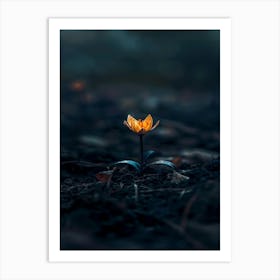 Flower In The Dark 96 Art Print