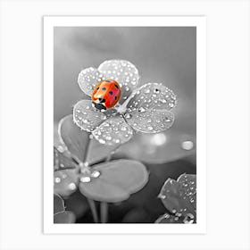 Ladybug On A Flower 1 Art Print