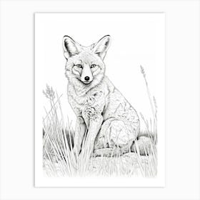 Swift Fox Line Drawing 3 Art Print