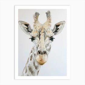 Giraffe 2 Art Print