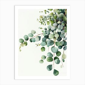 Eucalyptus Branches Art Print