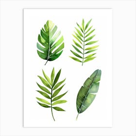 Watercolor Tropical Leaves 3 Art Print