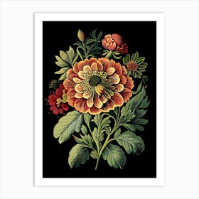 Zinnia Wildflower Vintage Botanical Art Print
