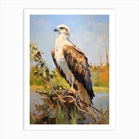 Bird Painting Osprey 4 Art Print