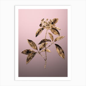 Gold Botanical Mountain Laurel Branch on Rose Quartz n.3686 Art Print