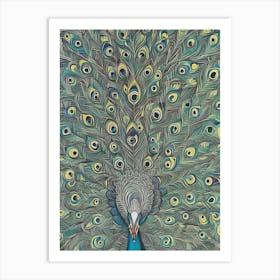 Peacock 32 Art Print