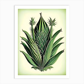 Aloe Vera Leaf Vintage Botanical Art Print