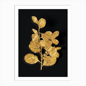 Vintage Lingonberry Evergreen Shrub Botanical in Gold on Black n.0579 Art Print
