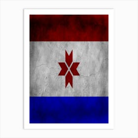 Mordovia Flag Texture Art Print