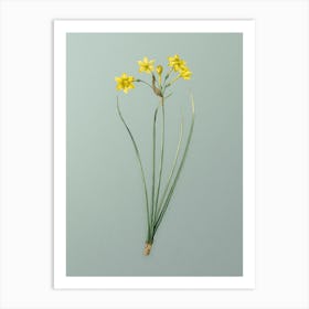Vintage Rush Daffodil Botanical Art on Mint Green n.0275 Art Print