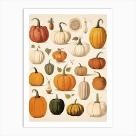 Vintage Style Pumpkin Drawing 3 Art Print