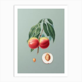 Vintage Peach Botanical Art on Mint Green n.0686 Art Print