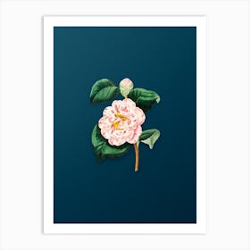 Vintage Gray's Invincible Camellia Flower Botanical Art on Teal Blue n.0728 Art Print