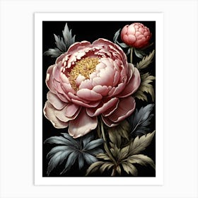 Peony Wildflower Art Print