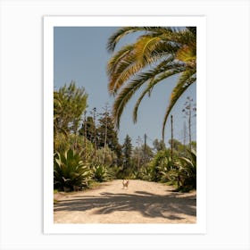 Lisbon Botanical Chicken Crossing Palm Portugal Art Print