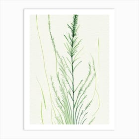 Horsetail Herb Minimalist Watercolour 2 Art Print