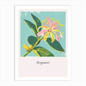 Bergamot 3 Square Flower Illustration Poster Art Print