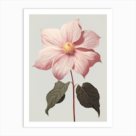 Floral Illustration Poinsettia 1 Art Print