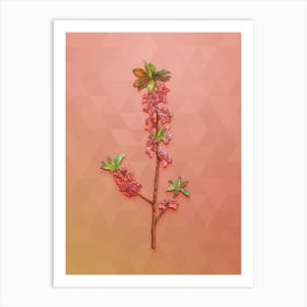Vintage February Daphne Flowers Botanical Art on Peach Pink n.1142 Art Print