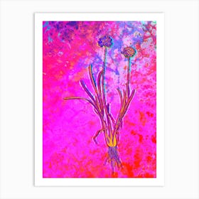 Allium Carolinianum Botanical in Acid Neon Pink Green and Blue n.0019 Art Print