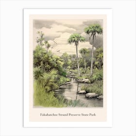 Fakahatchee Strand Preserve State Park Art Print