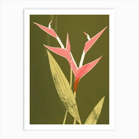 Pink & Green Heliconia 3 Art Print